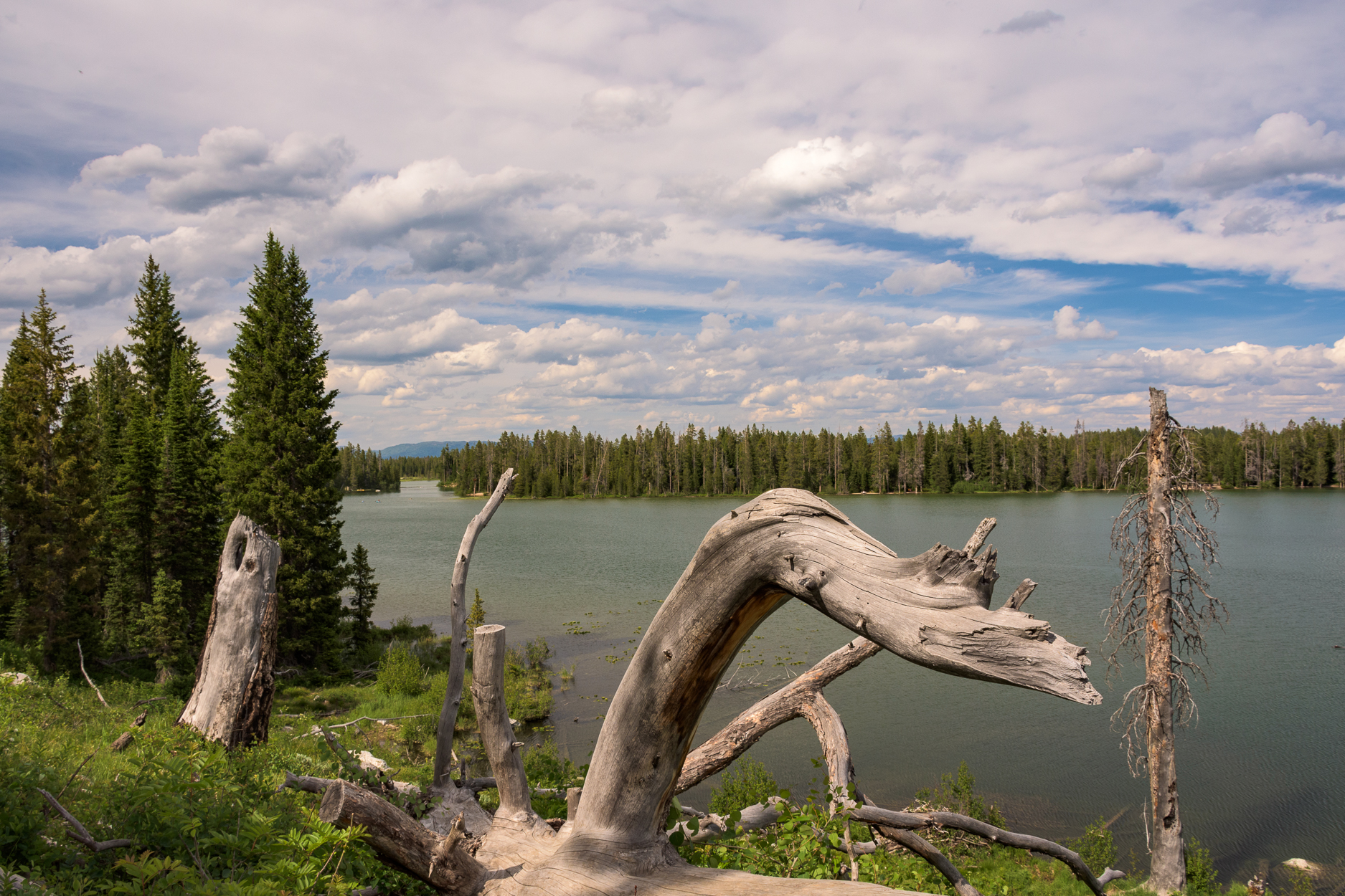 String Lake Loop, Grand Teton NP