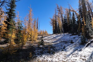 Hike to Mt. Frosty, EC Manning Provincial Park