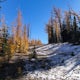 Hike to Mt. Frosty, EC Manning Provincial Park
