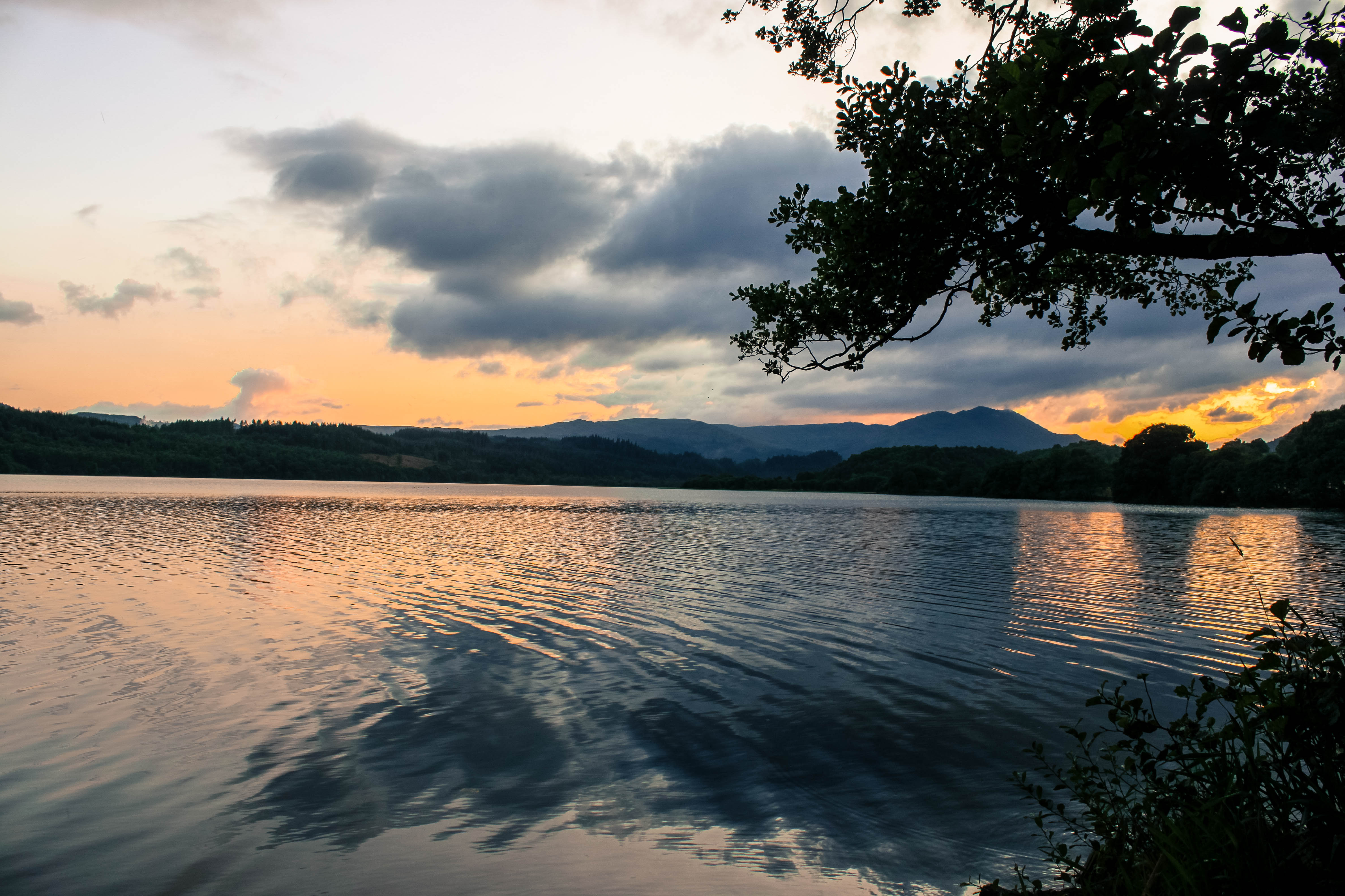 Camp at Loch Lomond's Sallochy Campsite