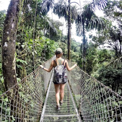 Hike the Mistico Arenal Hanging Bridges