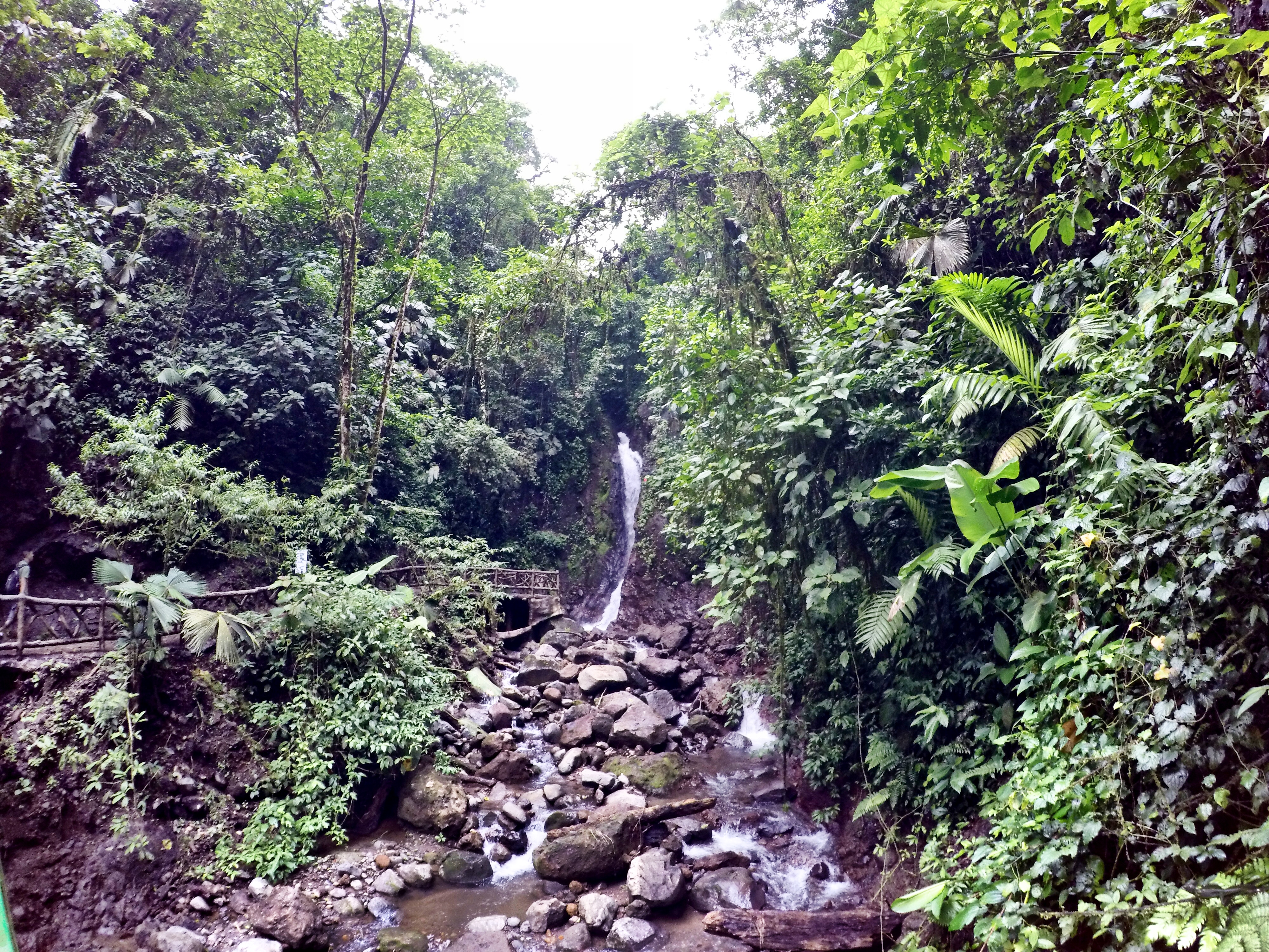 Hike the Mistico Arenal Hanging Bridges