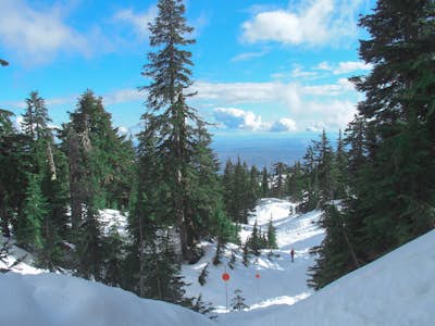 Snowshoe Grouse Mountain