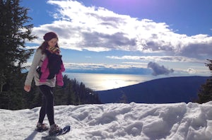 Snowshoe Grouse Mountain