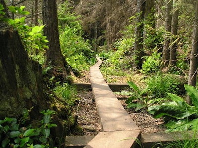 Hike to Pine & Cedar Lakes, Pine & Cedar Lakes Trailhead