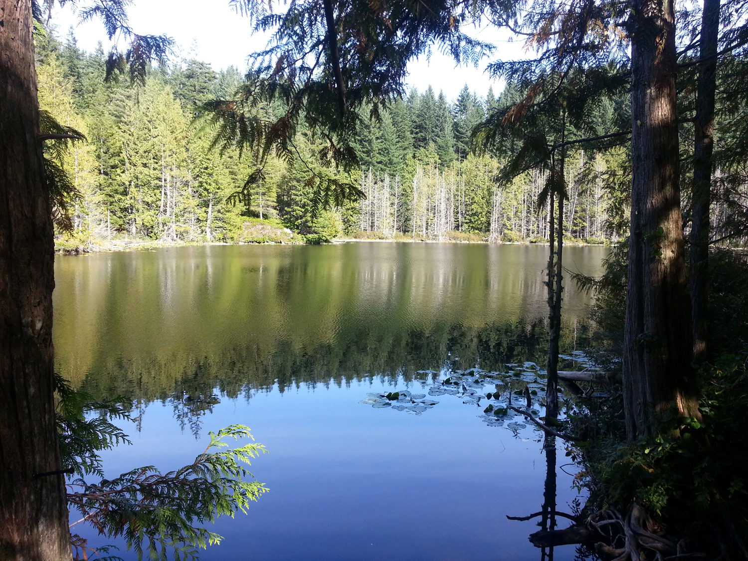 Pine & Cedar Lakes