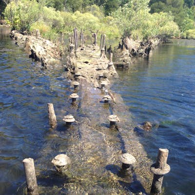 Paddle through the Ghost Fleet of the Potomac at Mallows Bay
