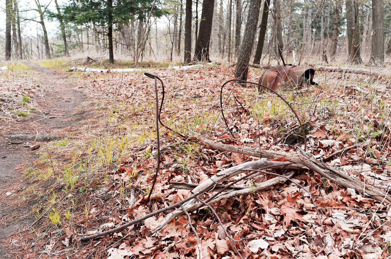 Hike the Orchard Trail in Rouge Park