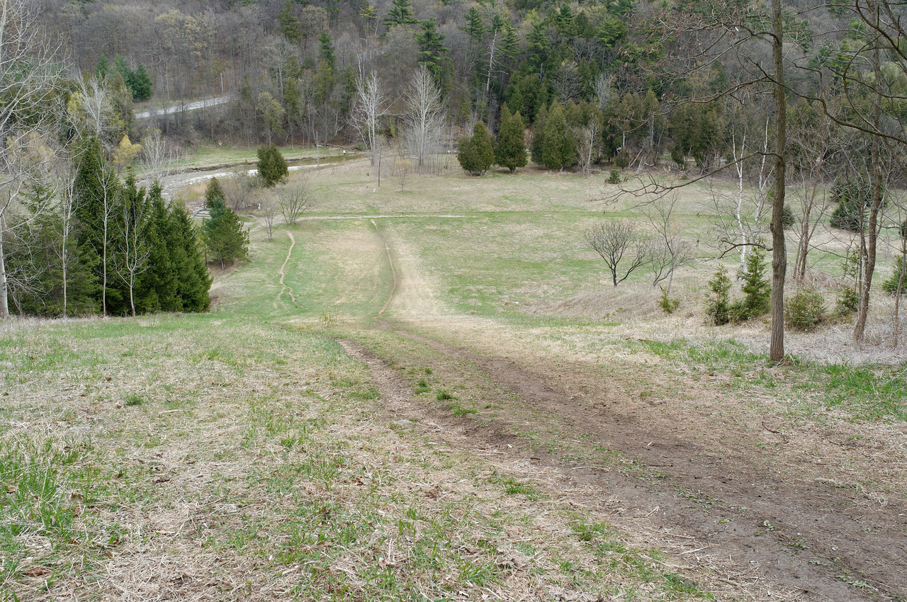 Hike the Orchard Trail in Rouge Park