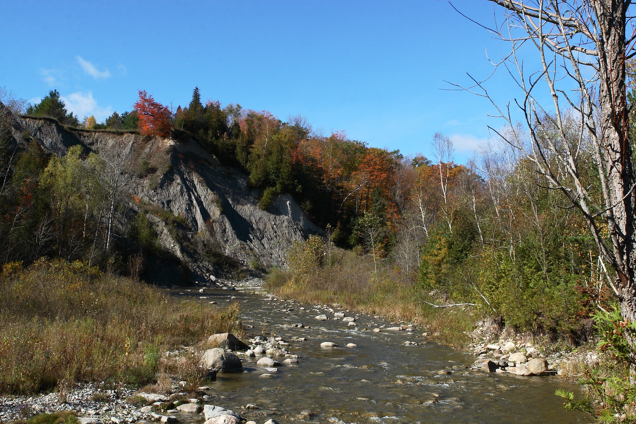 Hike the Orchard Trail in Rouge Park