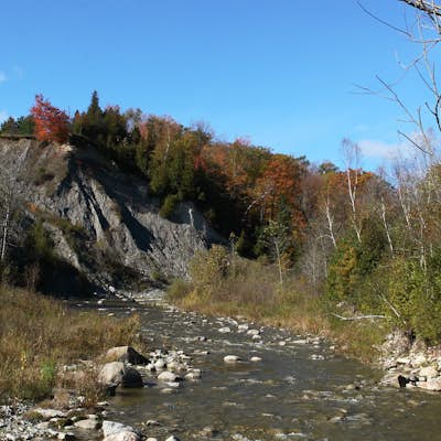 Hike the Orchard Trail in Rouge Park