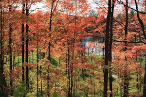 Hike the Orchard Trail in Rouge Park