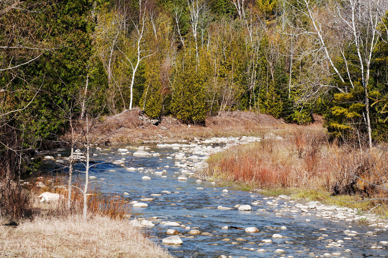 Hike the Orchard Trail in Rouge Park