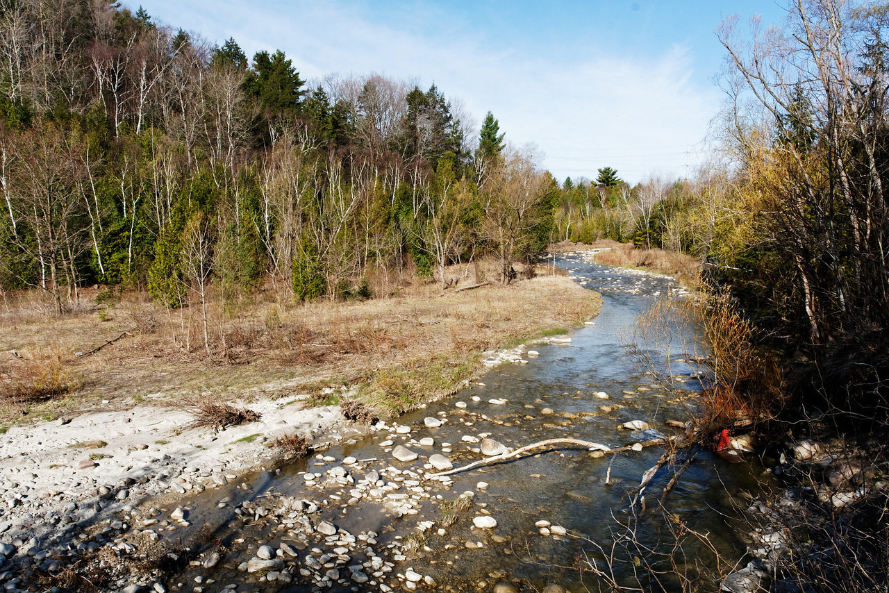 Hike the Orchard Trail in Rouge Park
