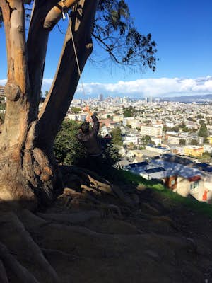 Swing at Billy Goat Hill
