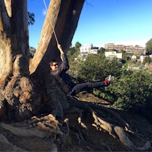 Swing at Billy Goat Hill