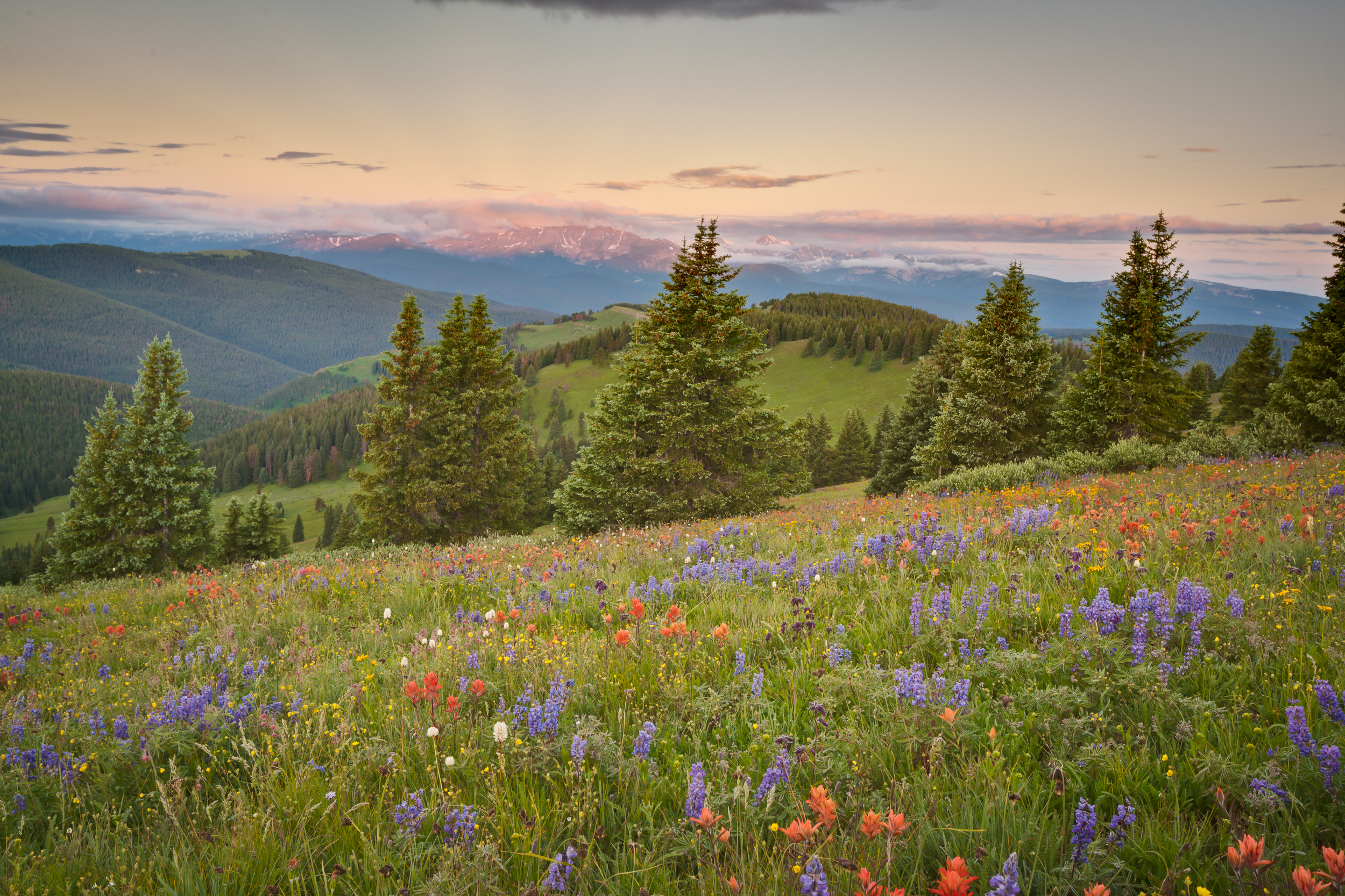 Shrine Ridge Trail