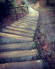 Forbes Creek Stairs