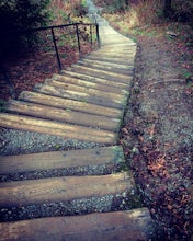 Forbes Creek Stairs