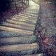 Run the Forbes Creek Stairs