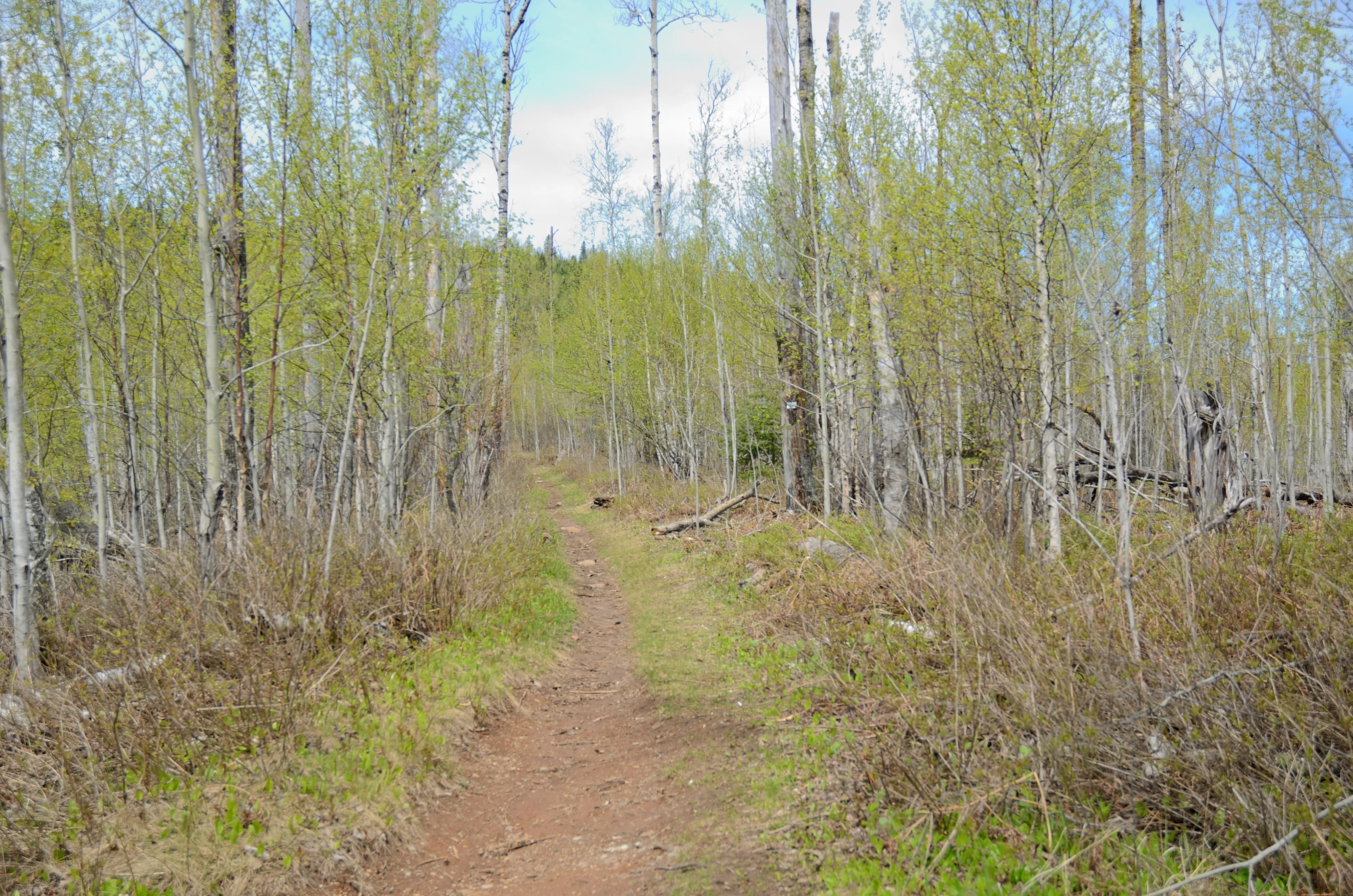 Hike to Carlton Peak