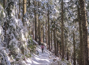 8 Reasons Why You Should Hike This Winter