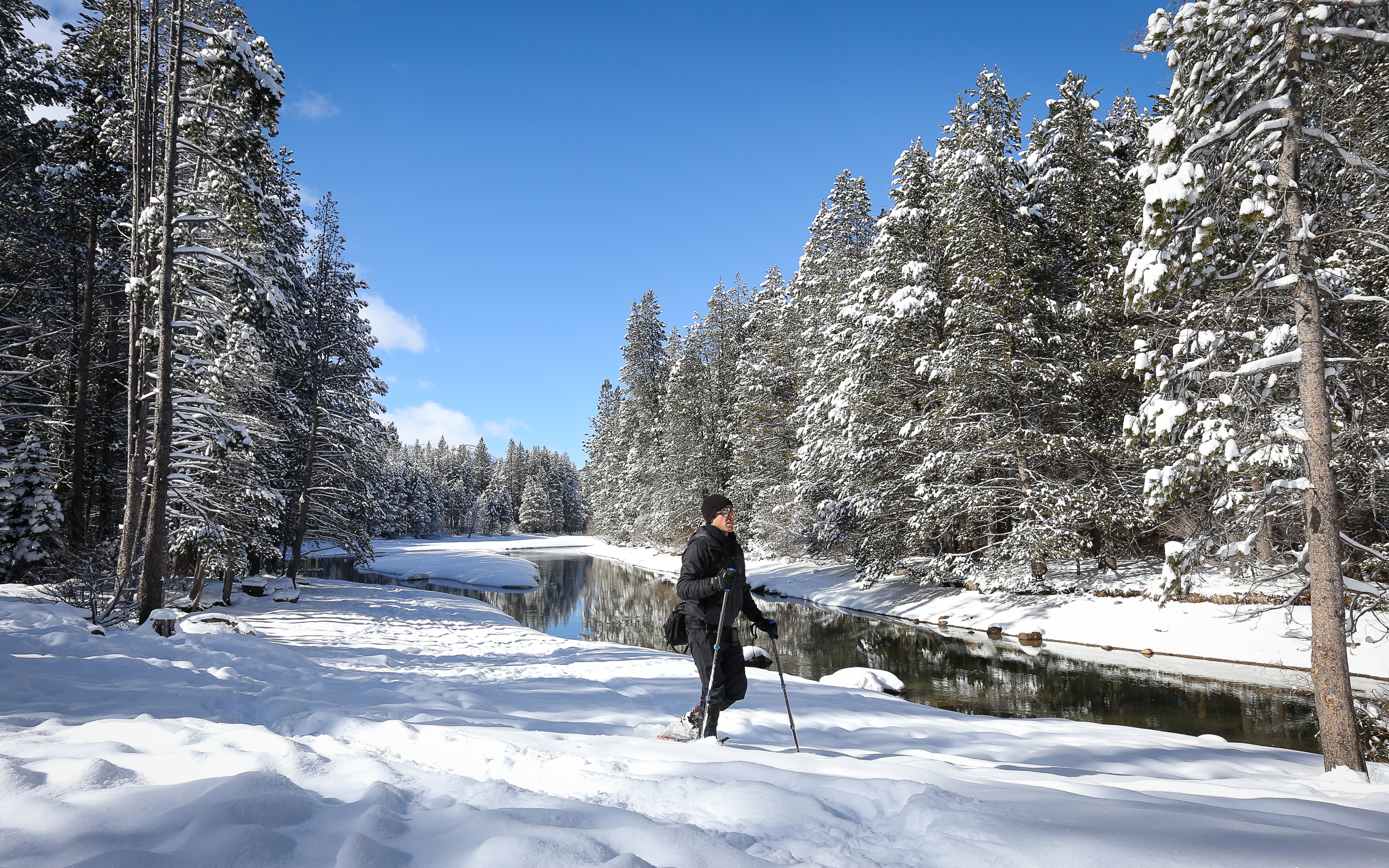 Photo Of Donner Memorial State Park Snowshoe   Dca4391e6465d394154b41de0ecea8a0