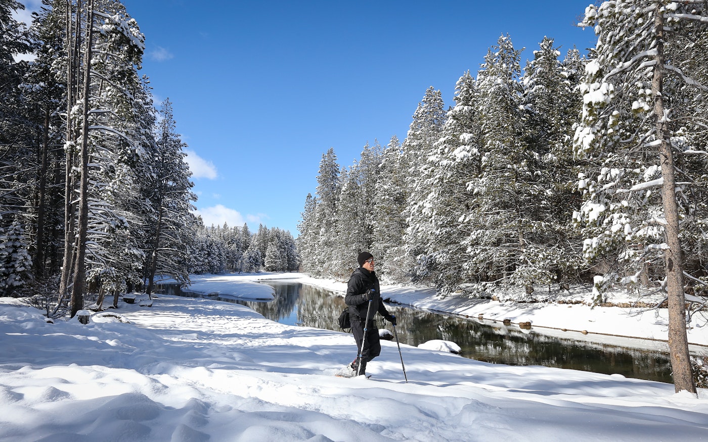 Photo of Donner Memorial State Park Snowshoe