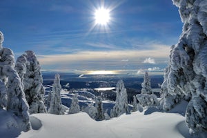 Snowshoe Mt. Seymour to Tim Jones Peak