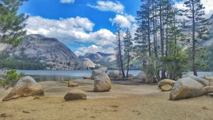 Explore Tenaya Lake, Yosemite NP