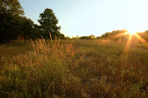 Bike the Rice Creek North Regional Trail