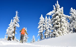 5 Reasons Why You Should Try Snowshoeing