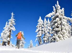 5 Reasons Why You Should Try Snowshoeing