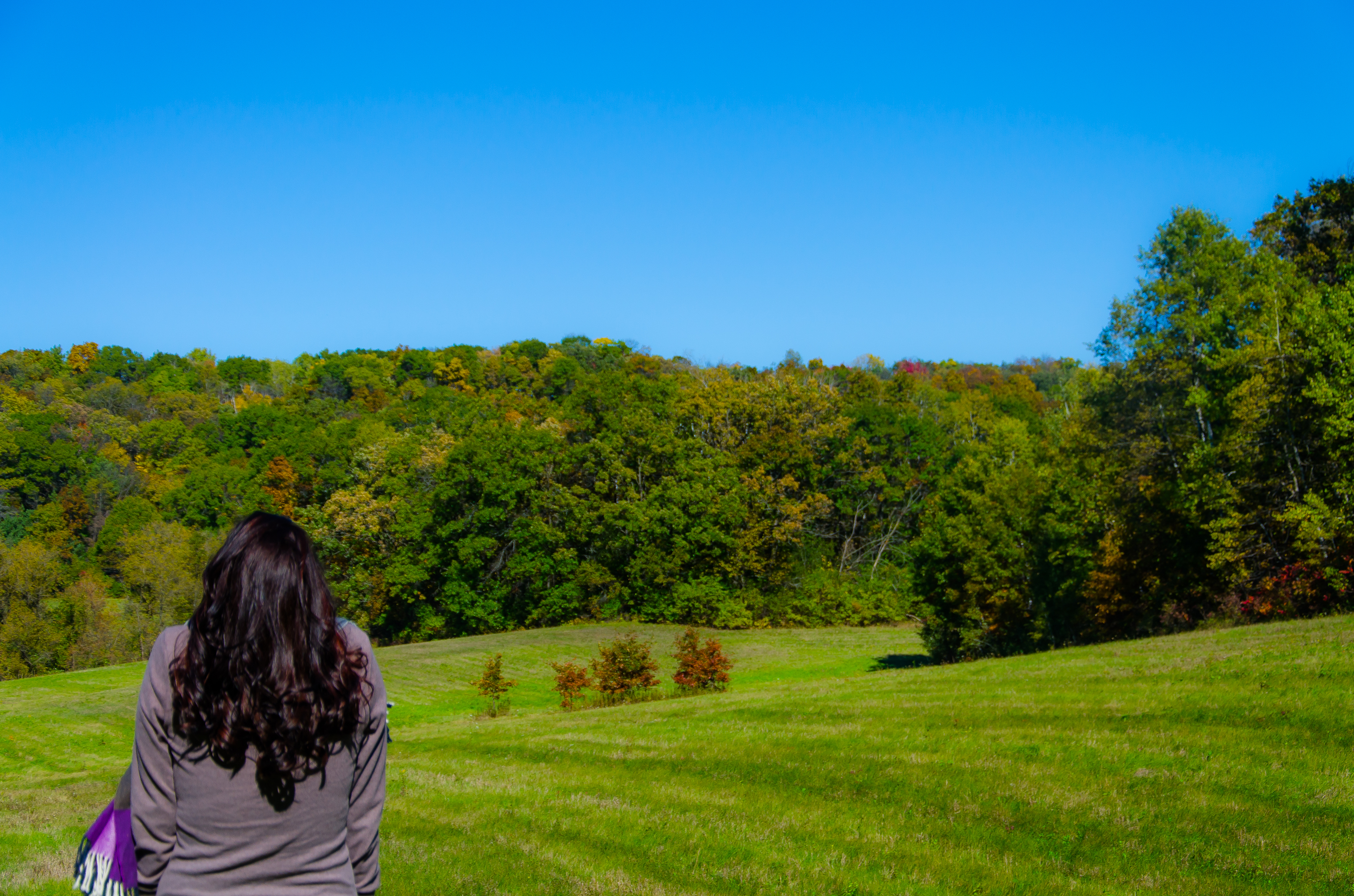 Hike through Indian Lake Park