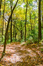 Hike through Indian Lake Park