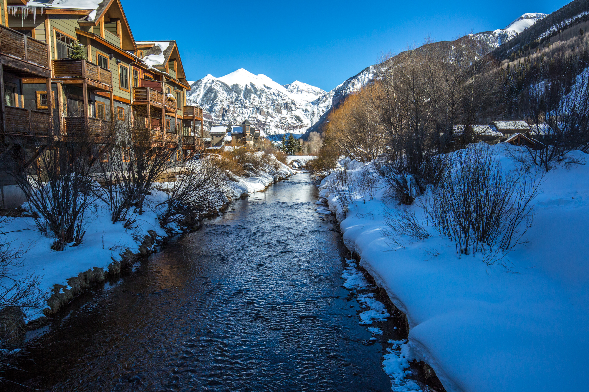 Fat Bike In Telluride 