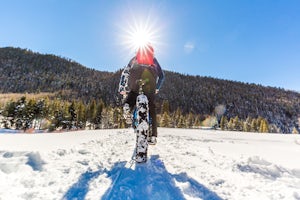 Fat Bike In Telluride 