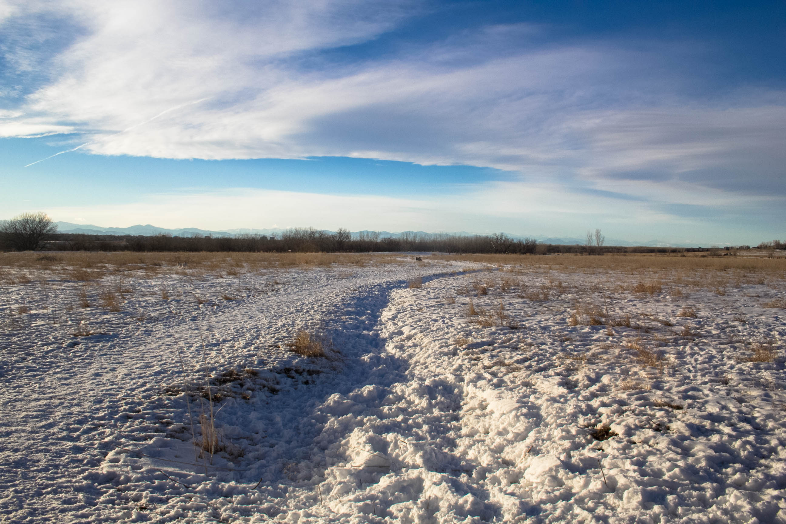 Cherry Creek Dog Off-Leash Area