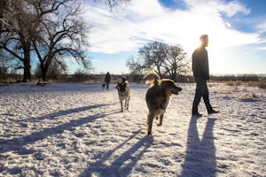 Walk the Cherry Creek Dog Off-Leash Area