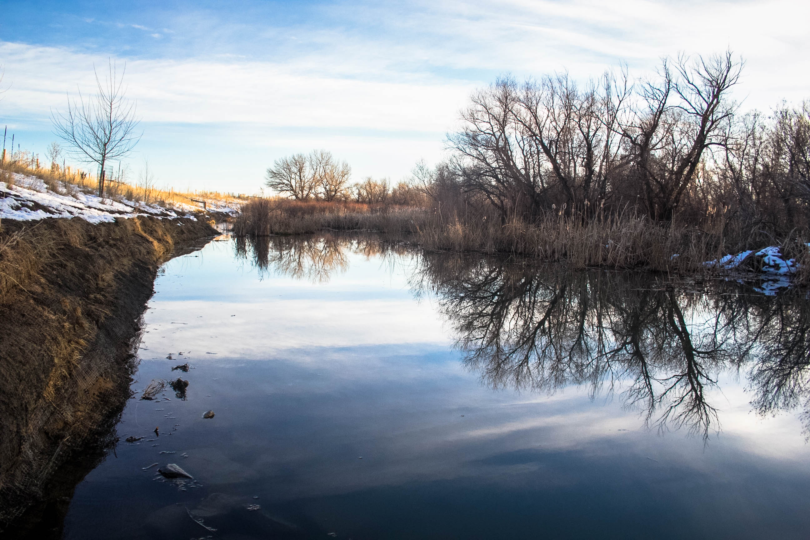 Cherry Creek Dog Off-Leash Area