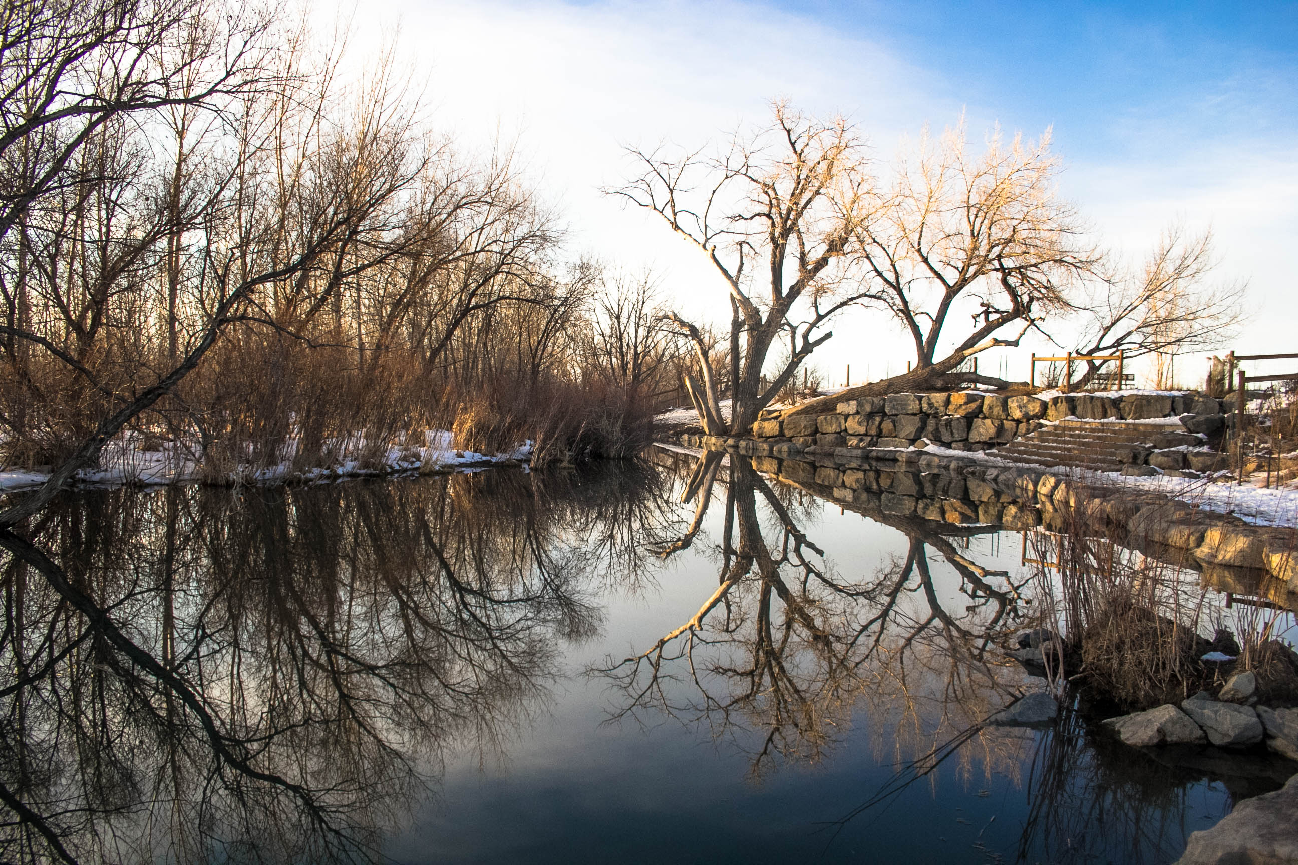 Cherry Creek Dog Off-Leash Area