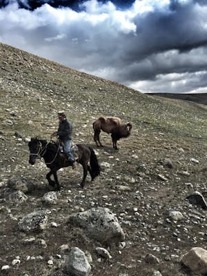 Horse Trek to Tavan Bogd