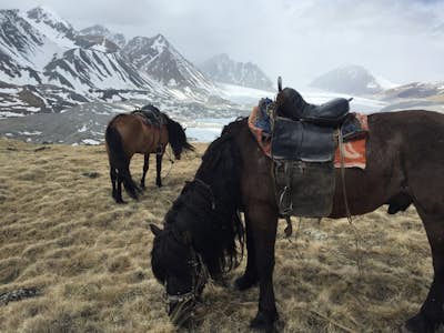Horse Trek to Tavan Bogd