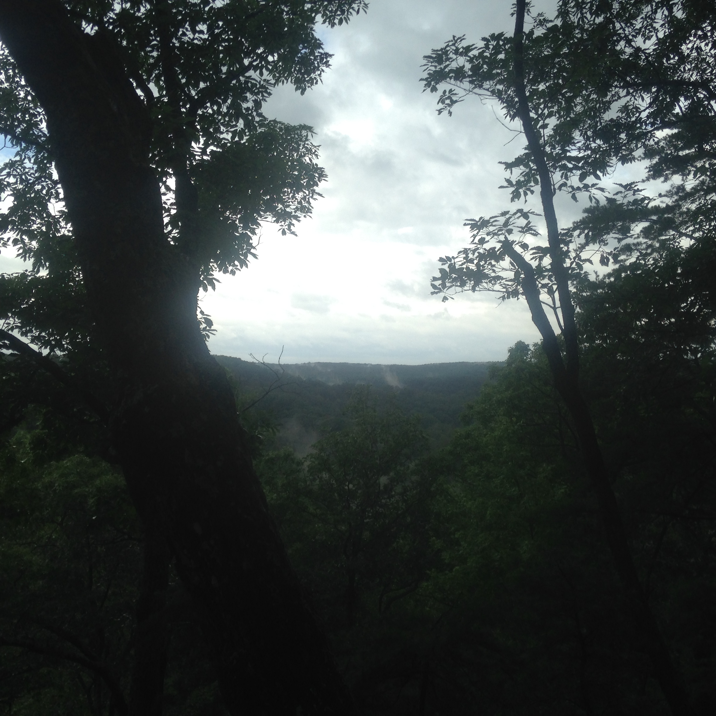 Photo of Zaleski State Forest Backpack Trail