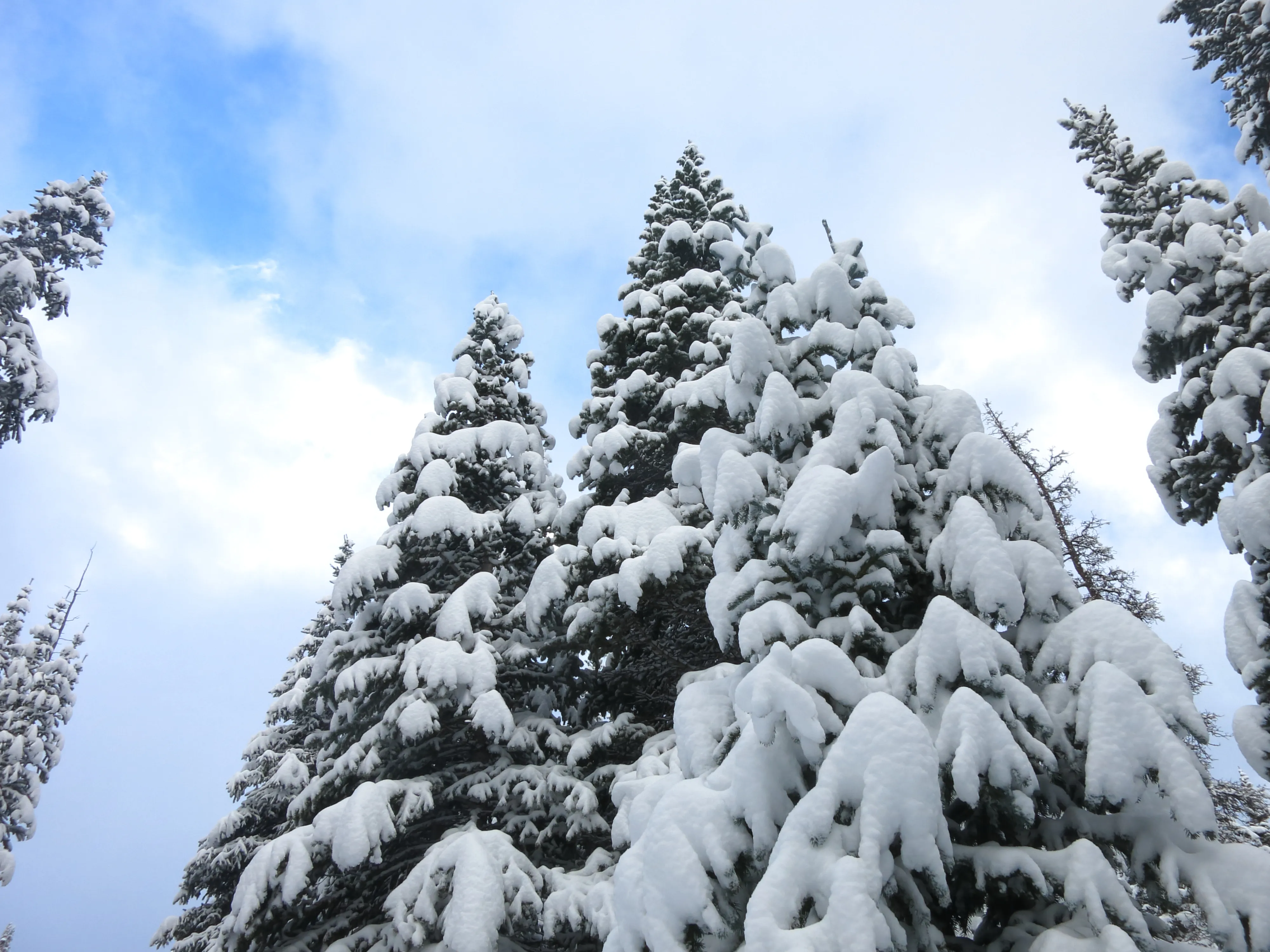 Cross-Country Ski to American Lakes