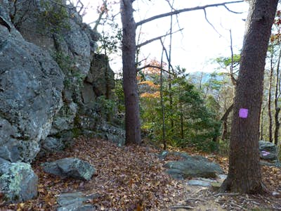 Hike the Rock Garden Trail