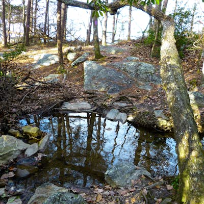 Hike the Rock Garden Trail