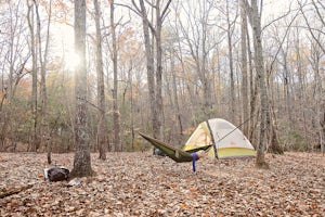 Hike and Camp the Big Poplar Loop , F.D. Roosevelt SP
