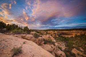 Explore Mesa Top Loop