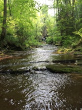 Hike to Lost Creek Falls 